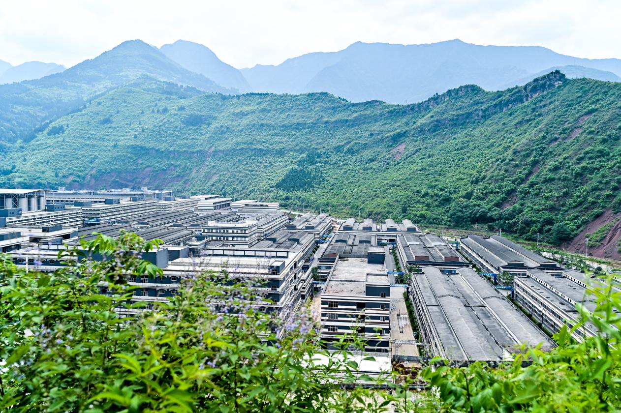 1655955323780080.jpg 1655955323780080.jpg